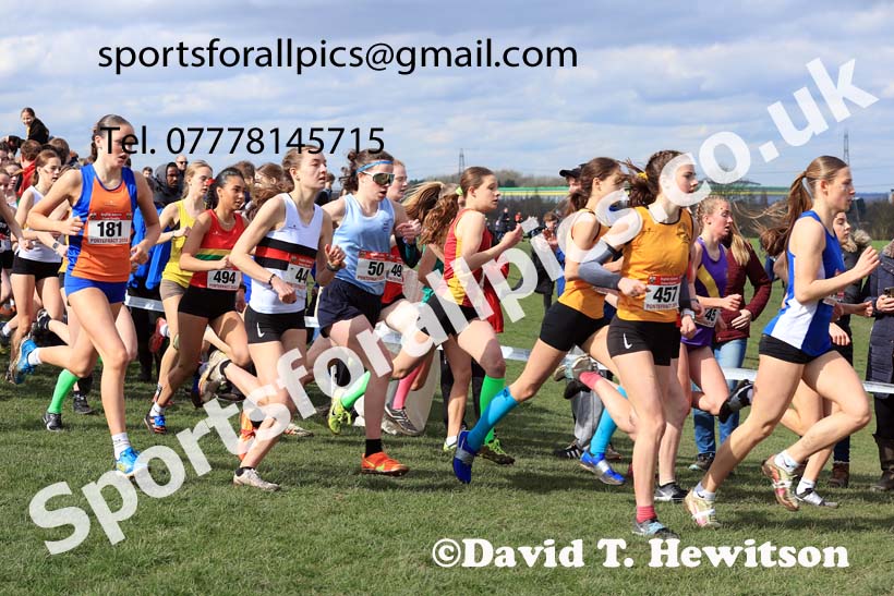 Intermediate Girls 2024 English Schools Cross Country Champs., Pontefract, March 16th.  Photo: David T. Hewitson/Sports for All Pics